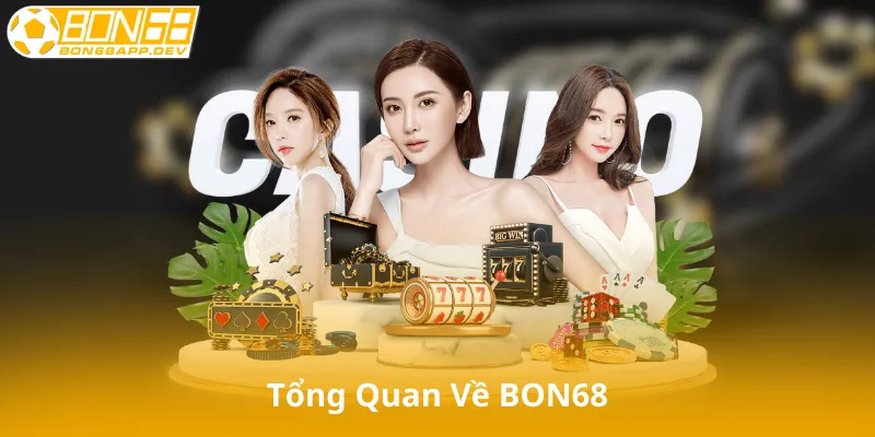Tổng Quan Về BON68