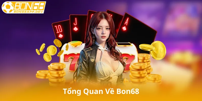 Tổng Quan Về Bon68