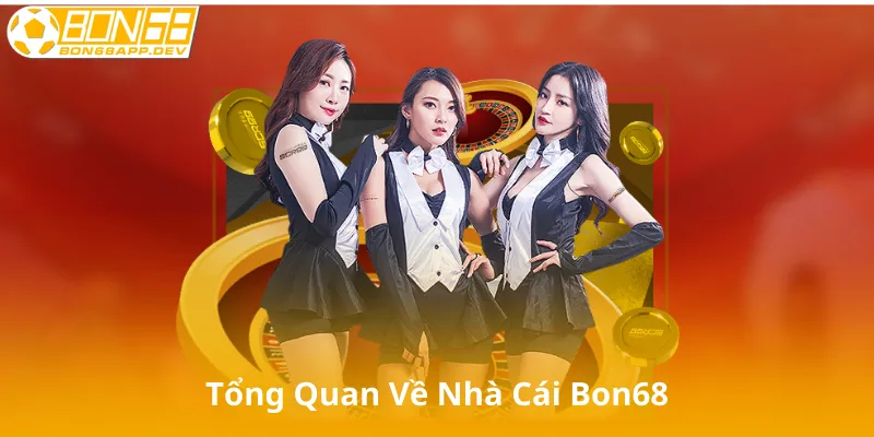Tổng Quan Về Bon68