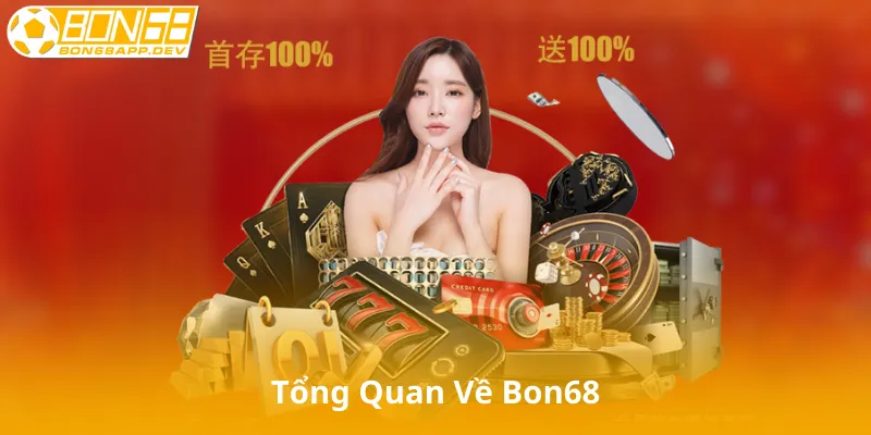 Tổng Quan Về Bon68