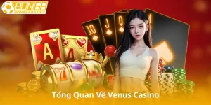 Tổng Quan Về Venus Casino