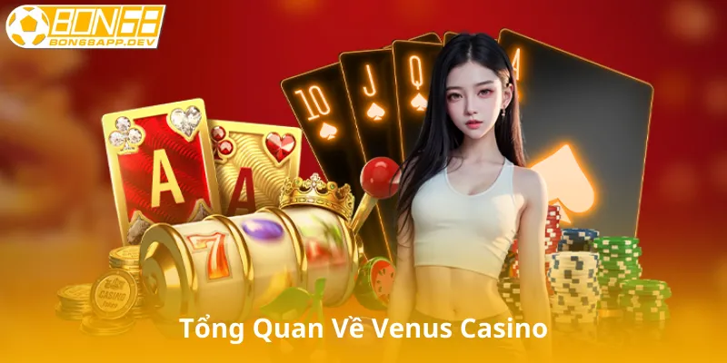 Tổng Quan Về Venus Casino